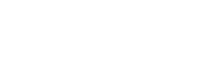 OnlyDans.ai